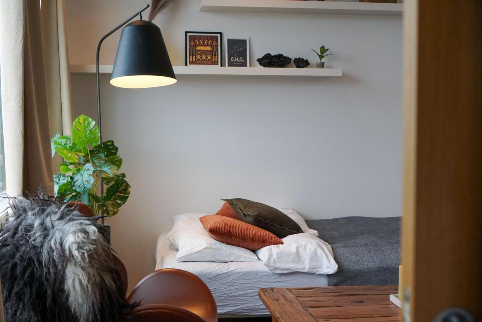 Laugavegur Penthouse Διαμέρισμα Ρέυκιαβικ Εξωτερικό φωτογραφία