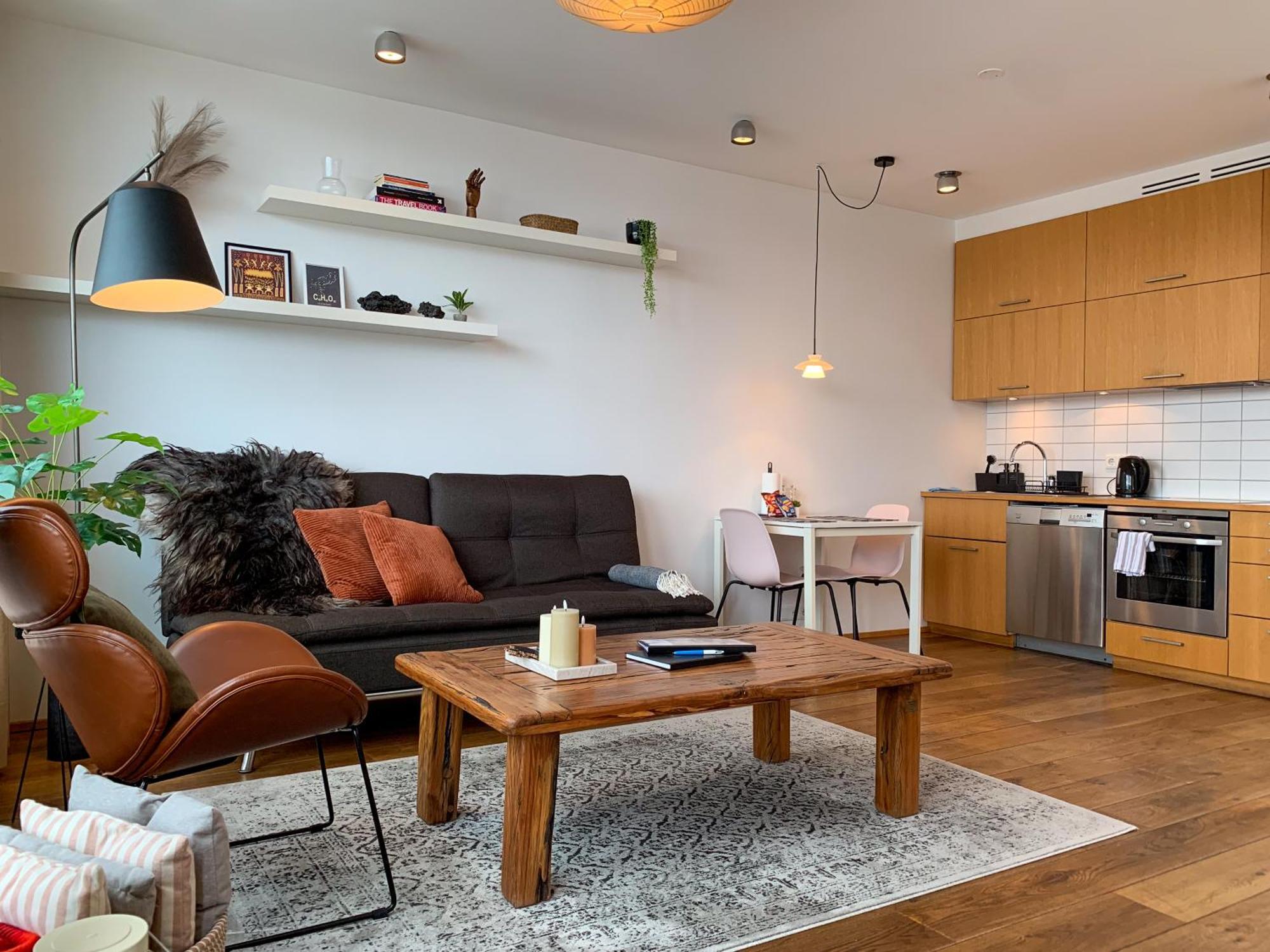 Laugavegur Penthouse Διαμέρισμα Ρέυκιαβικ Εξωτερικό φωτογραφία